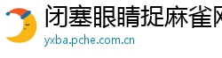 闭塞眼睛捉麻雀网